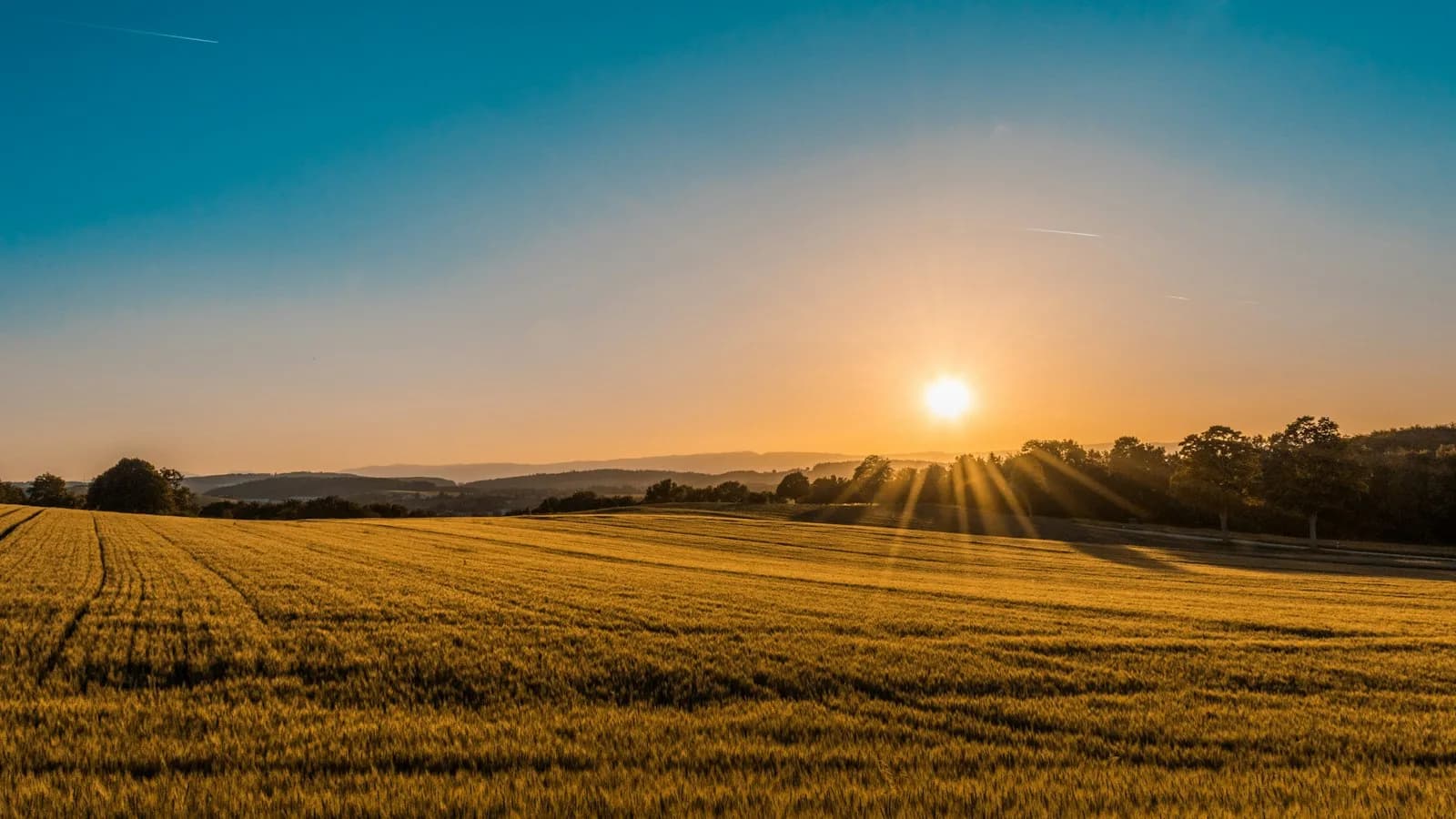 Yozgat kurumsal yazılım — Anadolu kırsal ve tarım atmosferi (temsili görsel)
